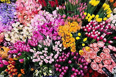 PS+港服十二月会免公布 新增大作《审判之眼：死神的遗言》